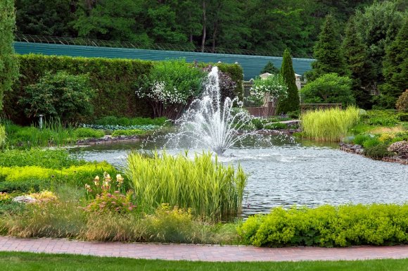 Professionnel pour la création de bassin chez un particulier à Sainte-Marie-en-Chanois 