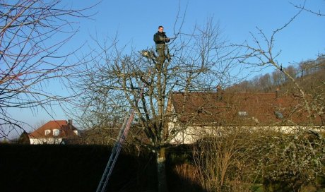 Seb au vert Taille d'arbre fruitier Sainte-Marie-en-Chanois 