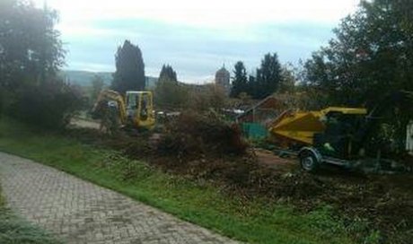 Seb au vert Arrachage et broyage haie Sainte-Marie-en-Chanois